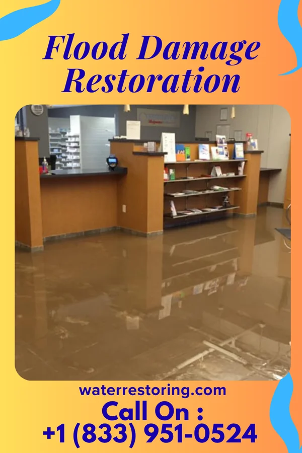Flood Damage Restoration in Poulan, GA