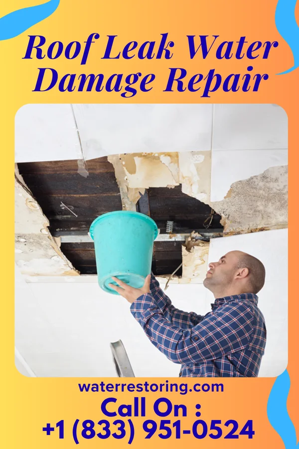 Roof Leak Water Damage Repair in Poulan, GA