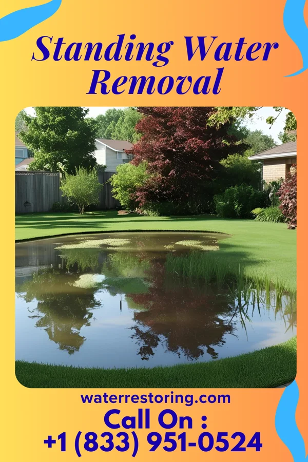 Standing Water Removal in Poulan, GA